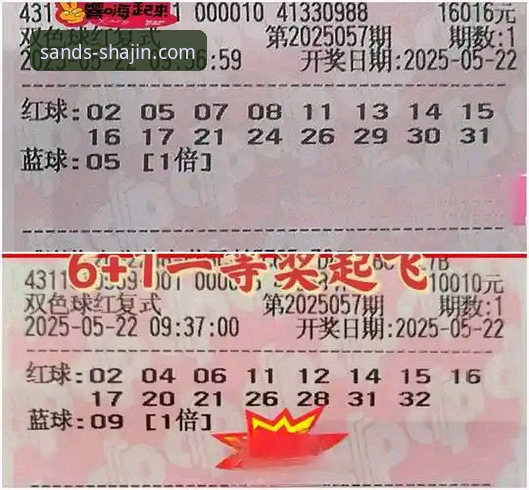 澳门沙金平台实用评测:从投注体验到风险控制的全面分析